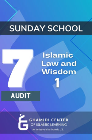 Sunday School Level 7 Audit