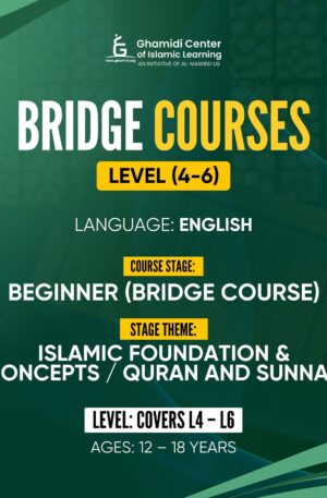 Bridge Course Level 4-6