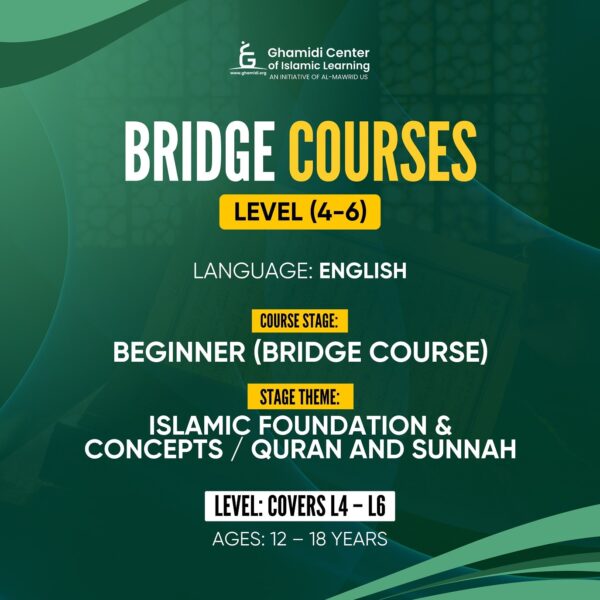 Bridge Course Level 4-6