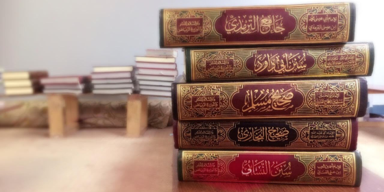غامدی صاحب اور حدیث